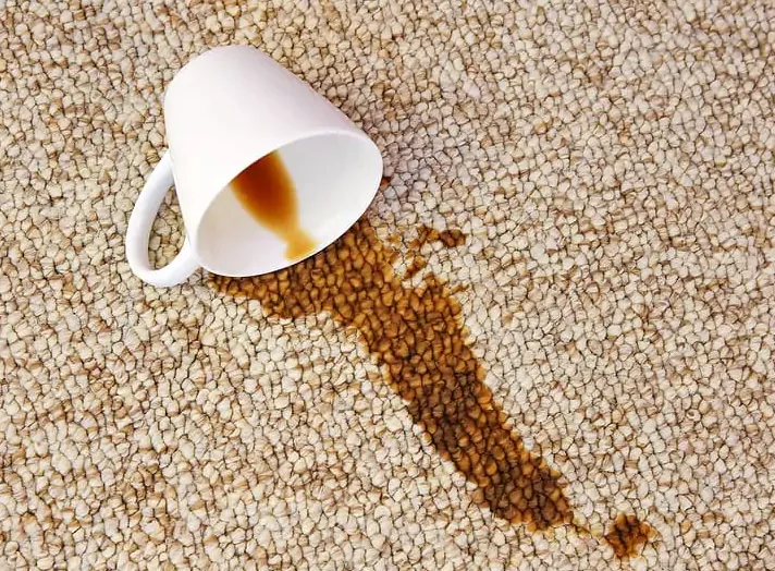 Halıya dökülmüş bir fincan kahve görseli